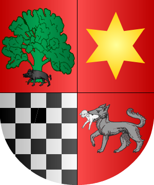 ESCUDO SIGUIENTE